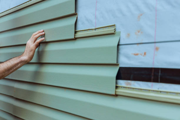 Best Siding Painting and Refinishing  in Bellerose Terrace, NY